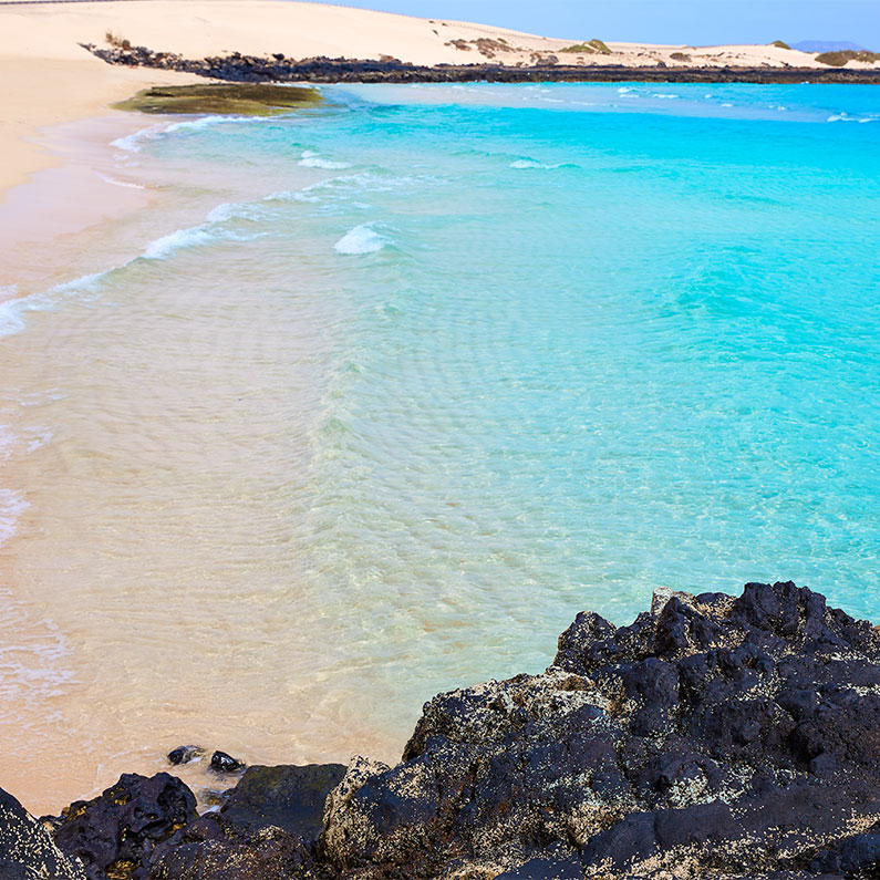 Galería: Hotel LIVVO Corralejo Beach